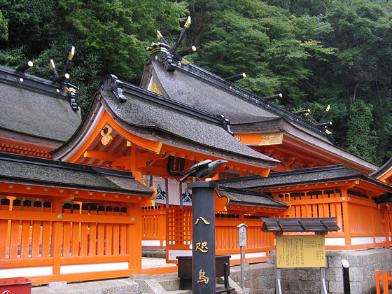 Kumano-nachi Taisha Grand Shrine Crow