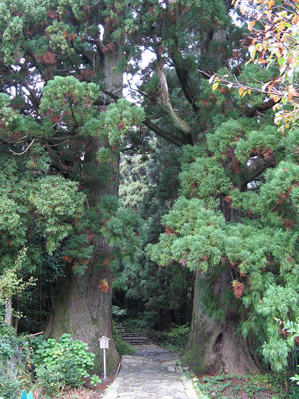 Entrance to Kumano-Nachi Taisha Grand Shrine Daimonzaka