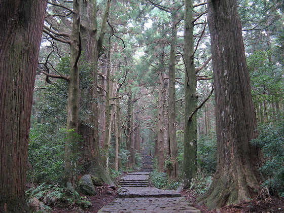 Kumano-nachi Taisha Grand Shrine Daimonzaka Path