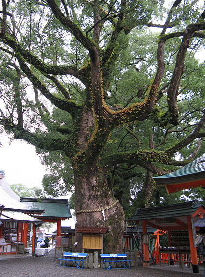 Kumano-Nachi Taisha Grand Shrine Kami