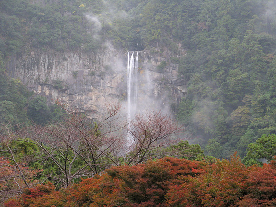 Kumano-nachi Taisha Grand Shrine Momiji