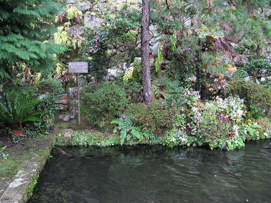 Kumano-nachi Taisha Grand Shrine Pond