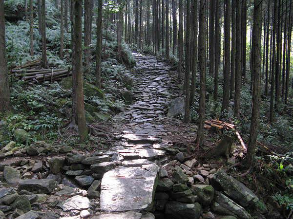 Kumano Kodo Magose Toge