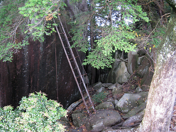 Kumano Kodo Magose Toge ladder