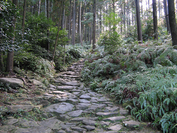 Kumano Kodo Magose Toge path
