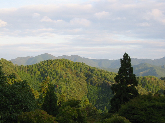 Kurama View