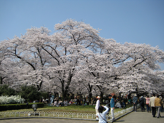 Kyoto Botanical Gardens