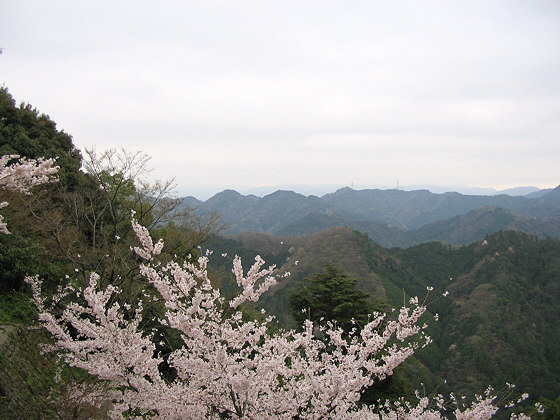 Makinoodera Temple View