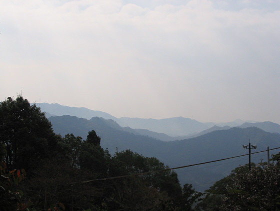 Matsunoodera Temple View