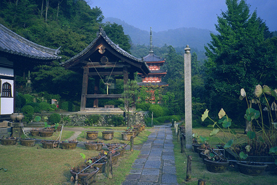 Mimurotoji Temple belfry and pagoda