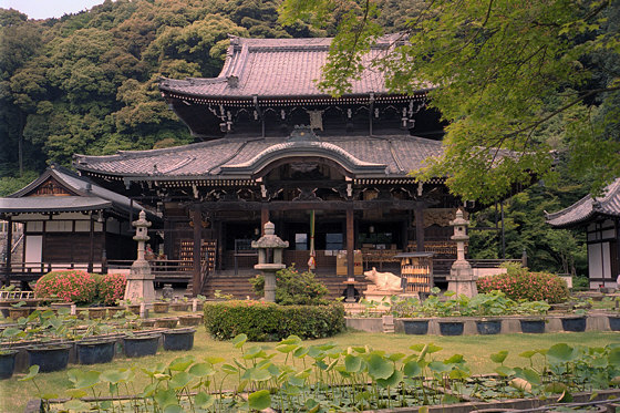 Mimuroto Temple Hondo Bull