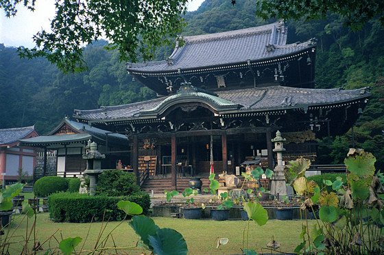 Mimuroto Temple hondo and lotus plants