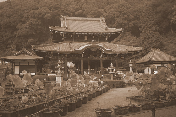 Mimurotoji Temple Uji