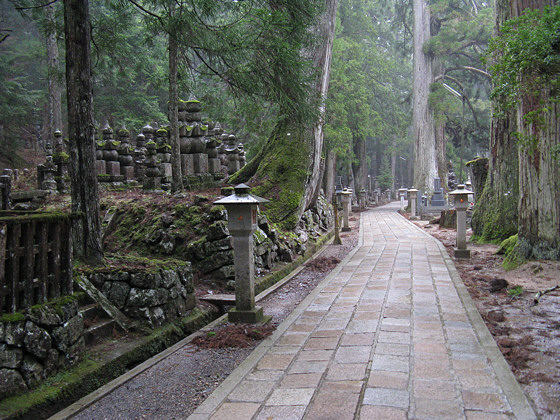 Mount Koya Big Tree Tombs