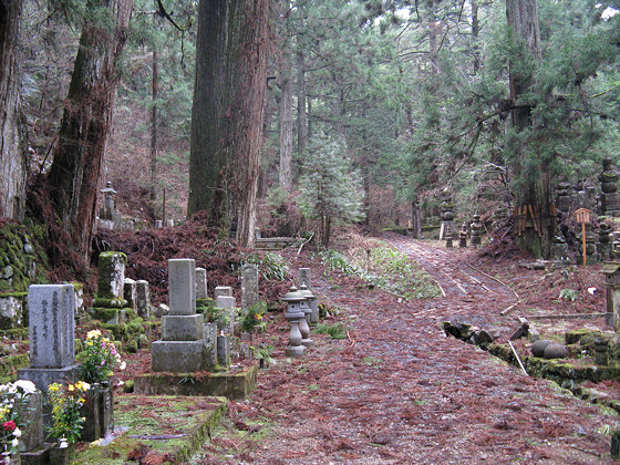 Mount Koya Side Path