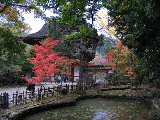 Muroji Temple Pond