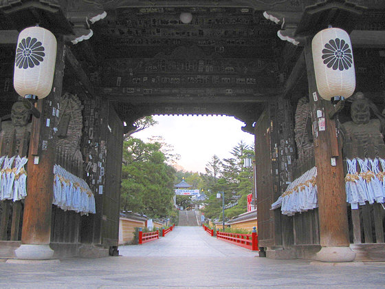 Nakayamadera Temple Niomon