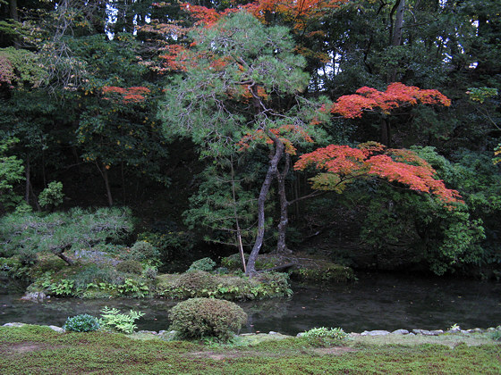 Nanzen-in Temple Momiji