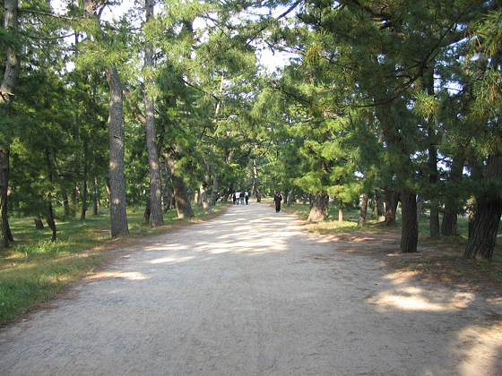 Nariaiji Temple Land Bridge Path