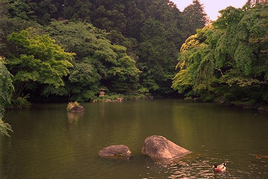 Narita-san Shinshoji Temple Pond
