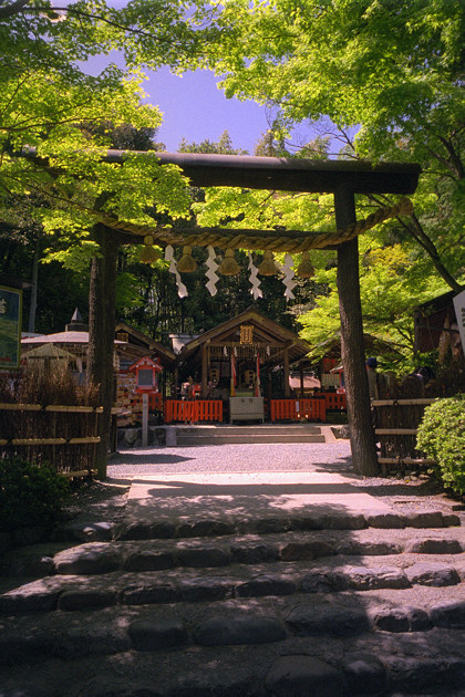 Nonomiya Shrine Torii