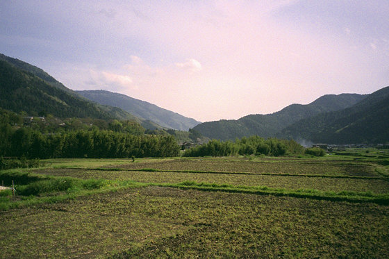 Ohara Fields