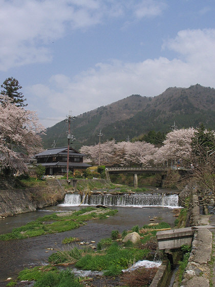 Ohara Sakura Clouds