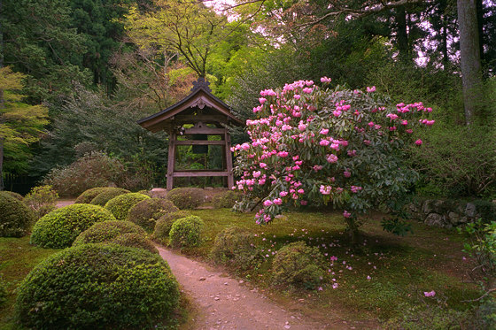 Raigo-in temple