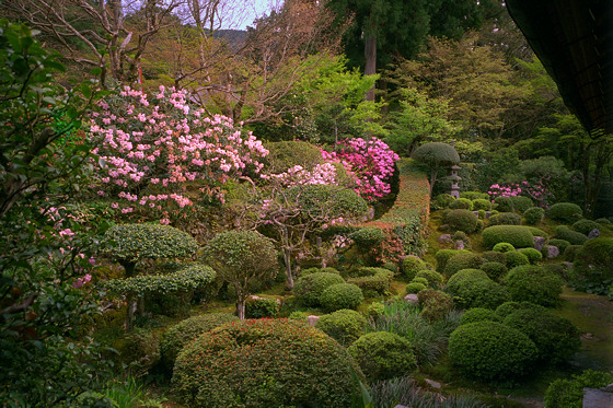 Raigo-in temple garden