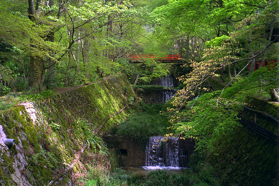 Ritsu River