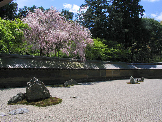 Ryoanji temple rock garden