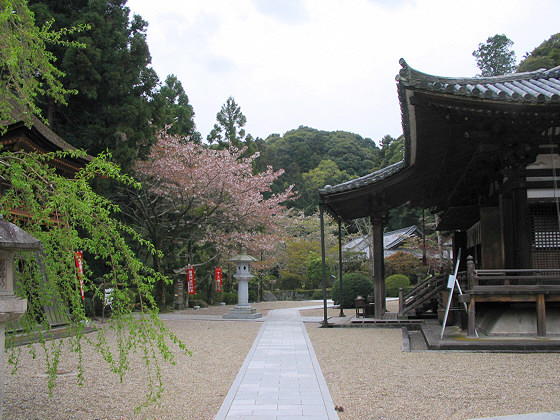 Ryosenji Temple Courtyard