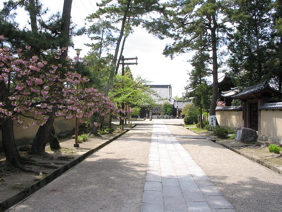 Seven Great Temples of Nara: Saidaiji