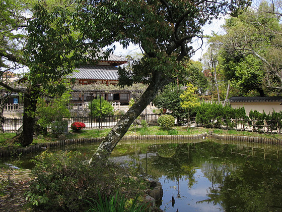 Saidaiji Temple Pond