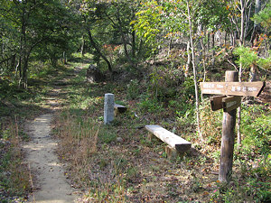 Saigoku Kannon Pilgrimage path