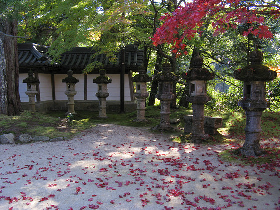 Saimyoji Temple Lanterns Leaves