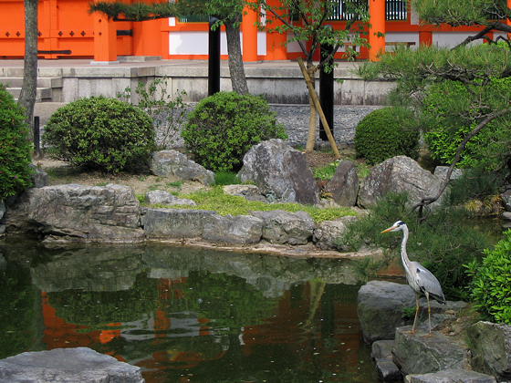 Sanjusangendo temple grey heron