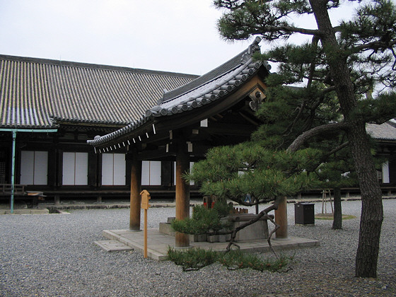 Sanjusangendo temple well