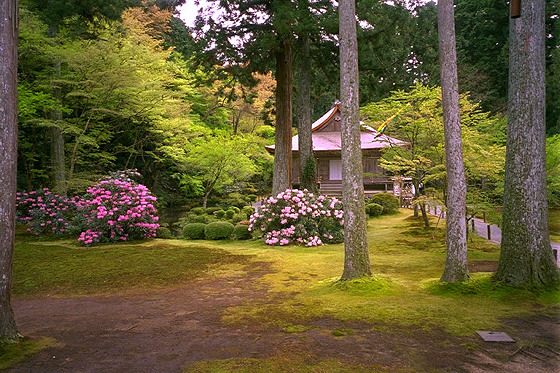 Sanzenin temple Amida hall