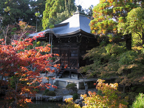 Seiryoji Temple Momiji Temple