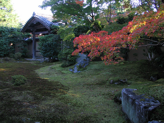 Seiryoji Temple Moss Garden