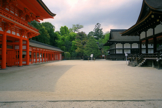 Shimogamo Jinja shrine Courtyard