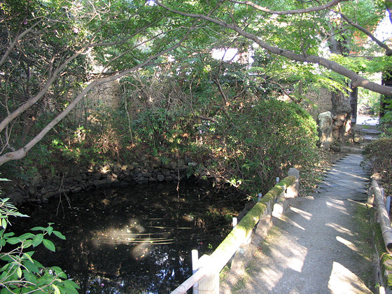 Shin Temple Yakushiji Temple Pond