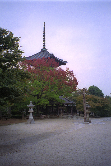 Shinnyodo Temple Pagoda