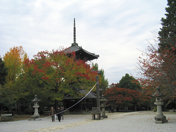 Shinnyodo Temple Pagoda Lanterns