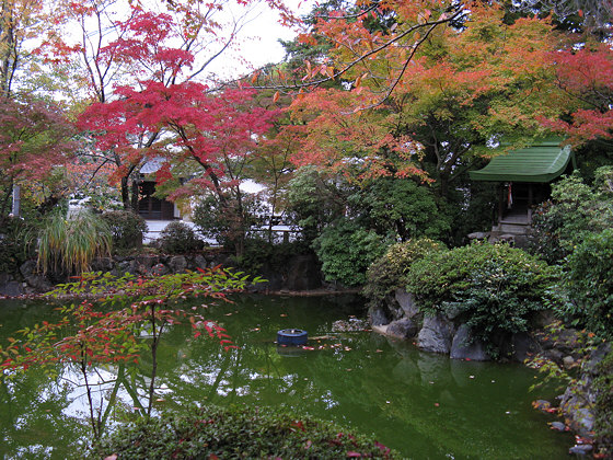 Shinnyodo Temple Pond