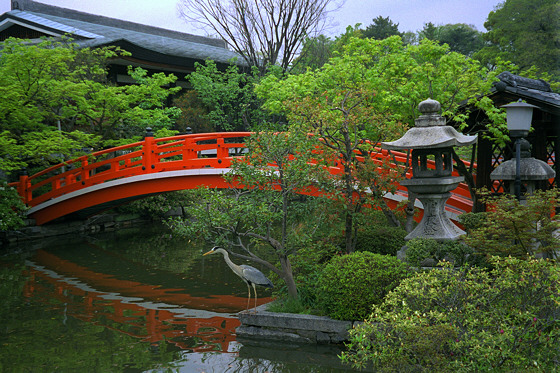 Japanese gardens: Shinsenen