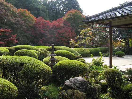Shisendo Temple Hondo View