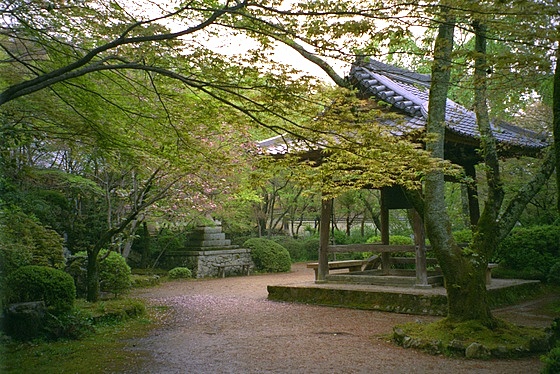 Shojiji Temple Belfry