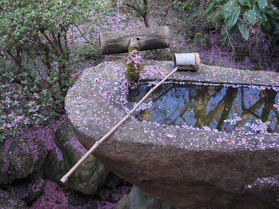 Shoren-in temple tsukubai